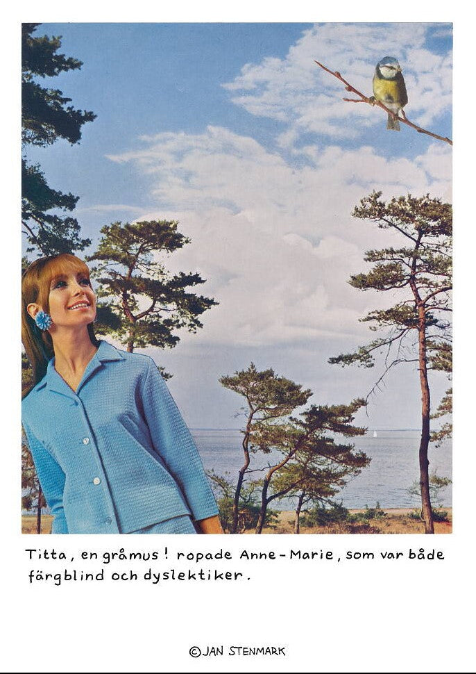 Jan Stenmark - Gråmus - 50 x 70