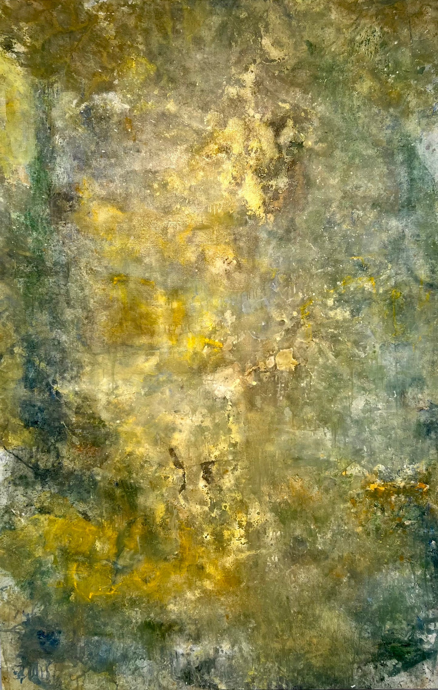 Margareta Gelles - Fotosyntes