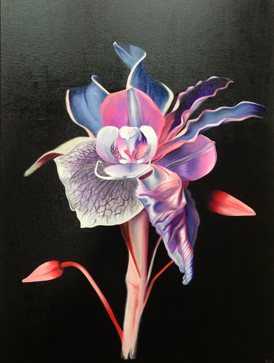 Brandy Kraft - Helleboriosus exquisitus” Hybrid No. 64