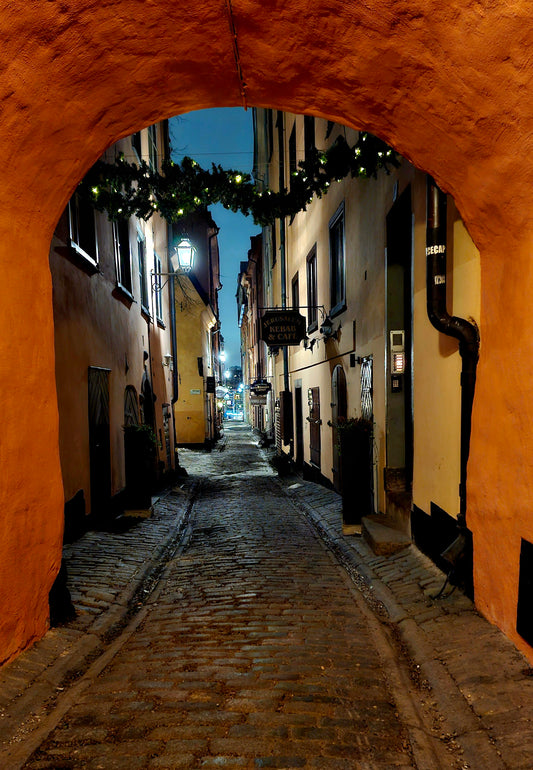 Ulf Wahrolin - Gåsgränd i Gamla stan