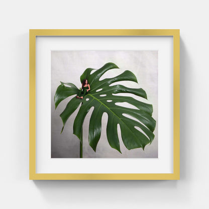 Sonja Hesslow - Monstera