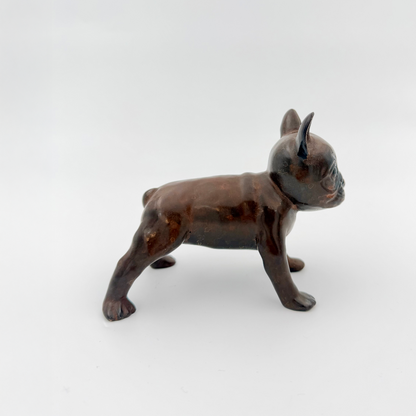 Hanna Beling  - French Bulldog