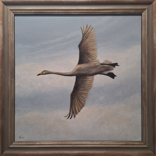 Gabriella Norum - Frihet