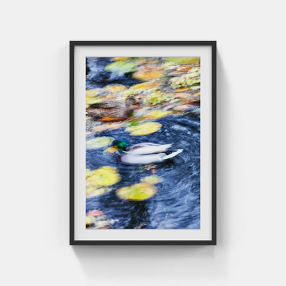 Sanderson - Monet's Pond
