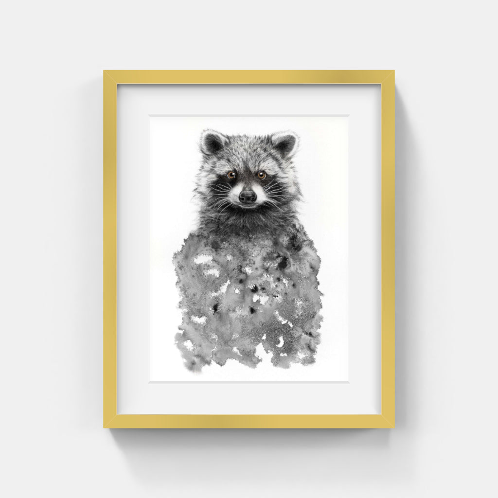 Annika Wessmark - Raccoon