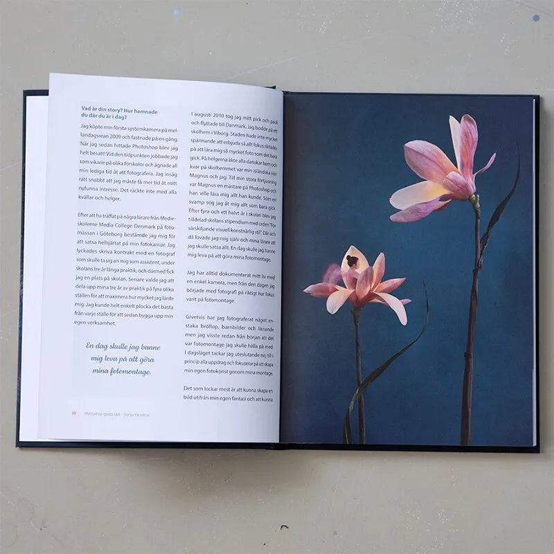 Jan Stenmark's book