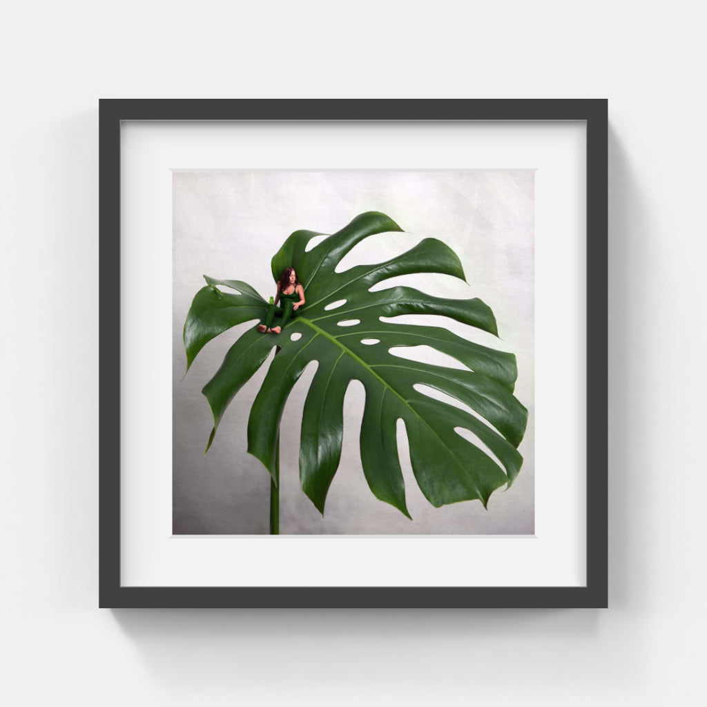 Sonja Hesslow - Monstera