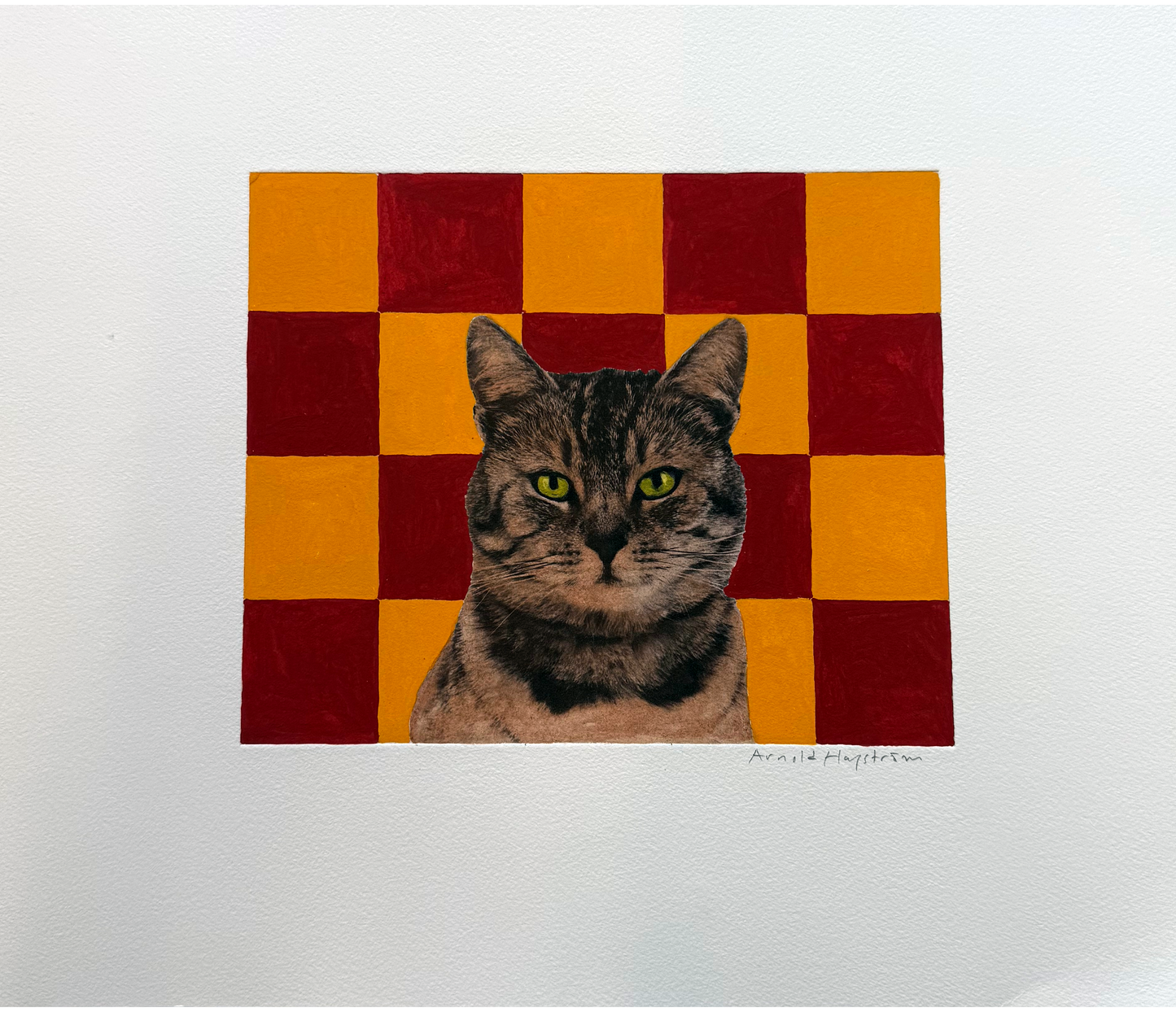 Arnold Hagström - Katt rutig bakgrund