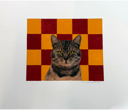 Arnold Hagström - Katt rutig bakgrund
