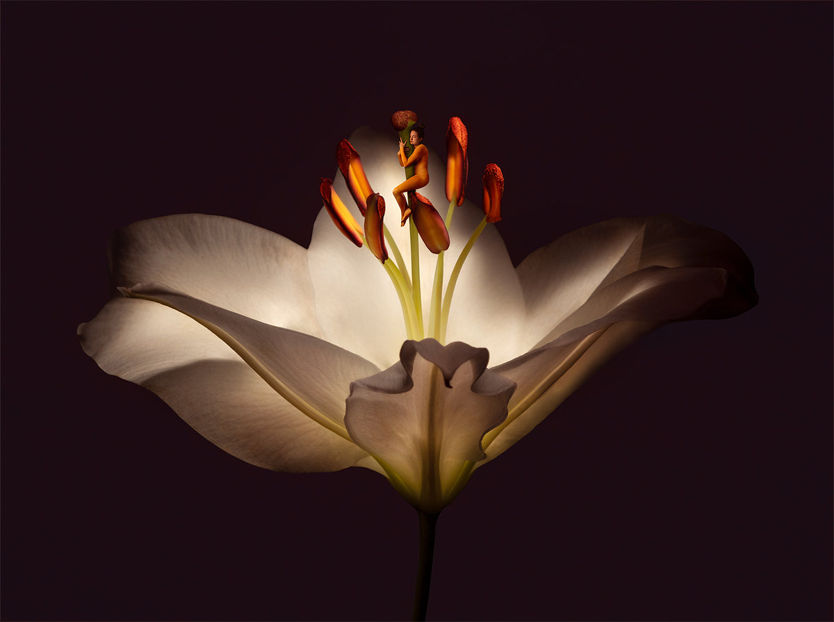 Sonja Hesslow - Finding stillness