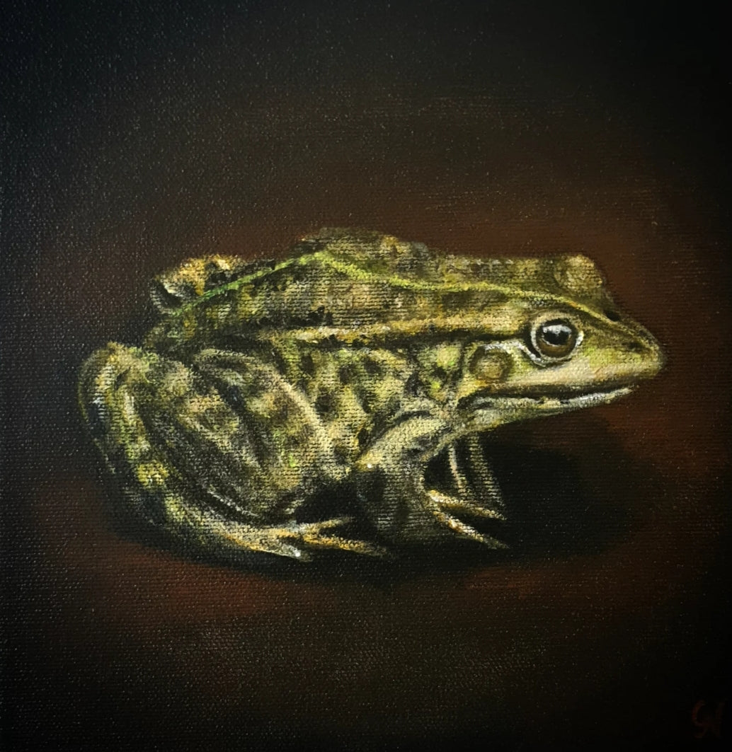 Gabriella Norum - Groda I