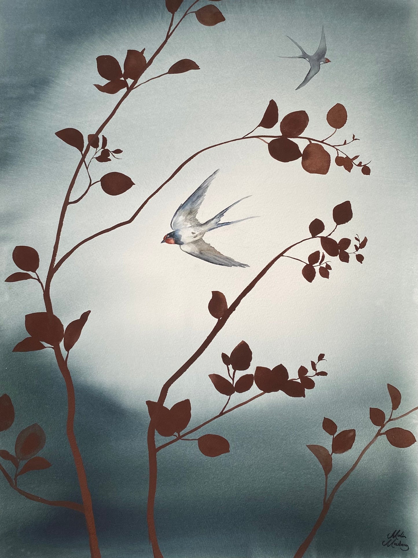 Malin Mossberg - Svalor 2