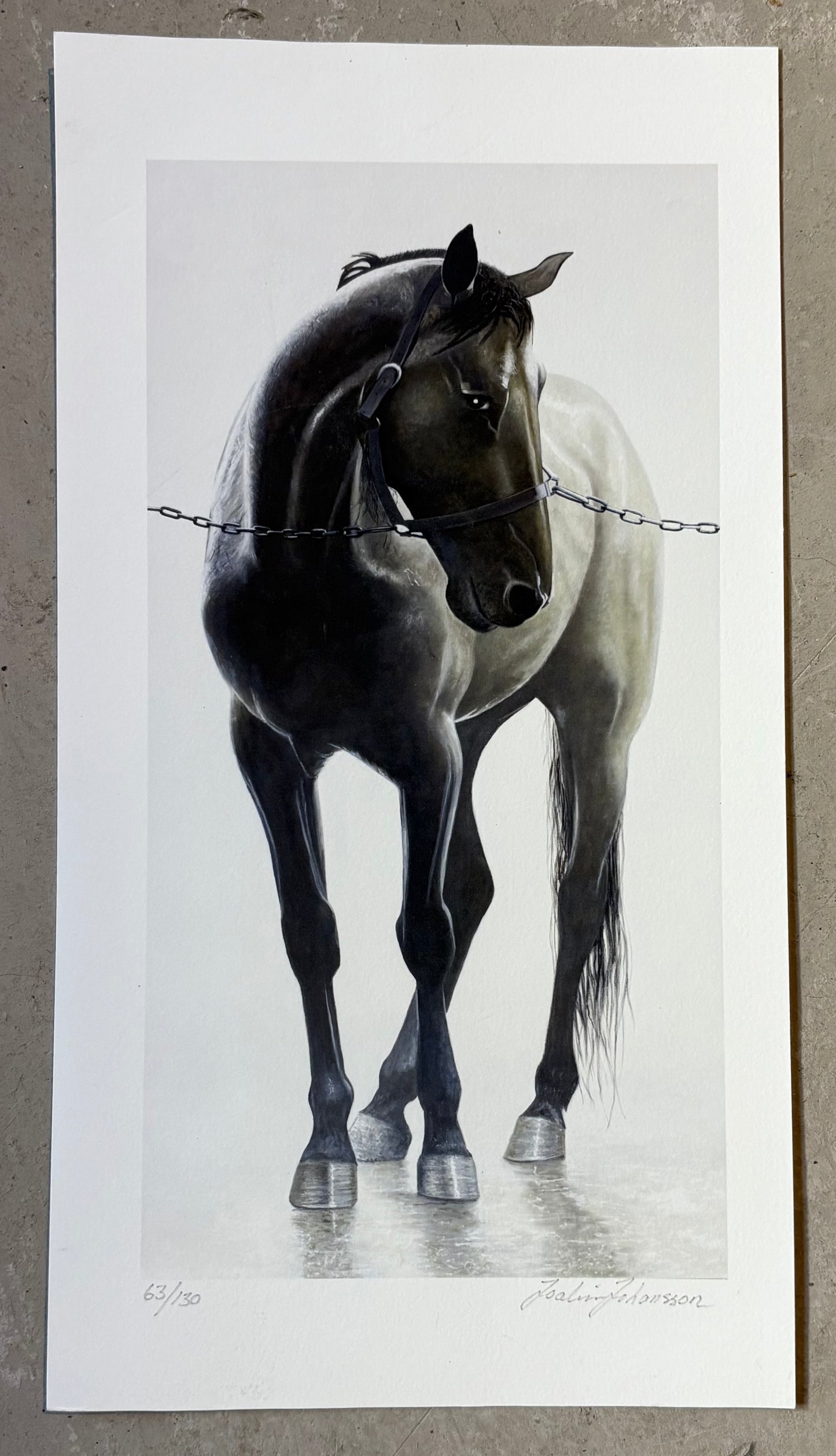 JOAKIM JOHANSSON - HÄST - AUKTION