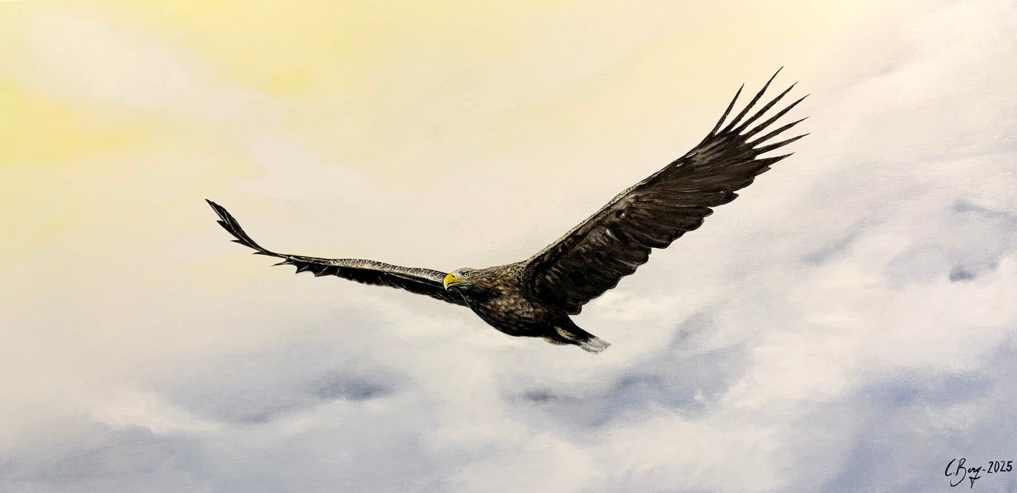 Caroline Berg - Havsörn