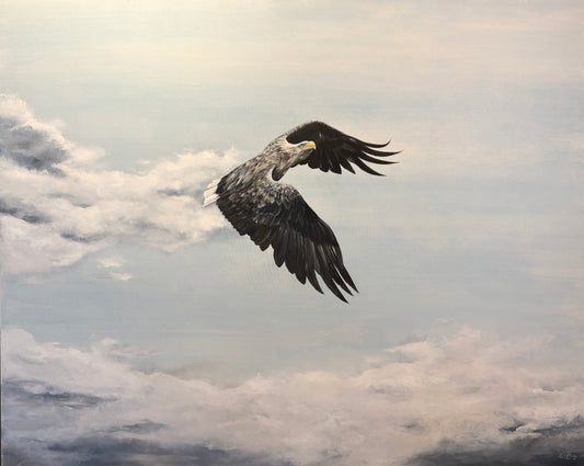 Caroline Berg - Gammal Havsorn