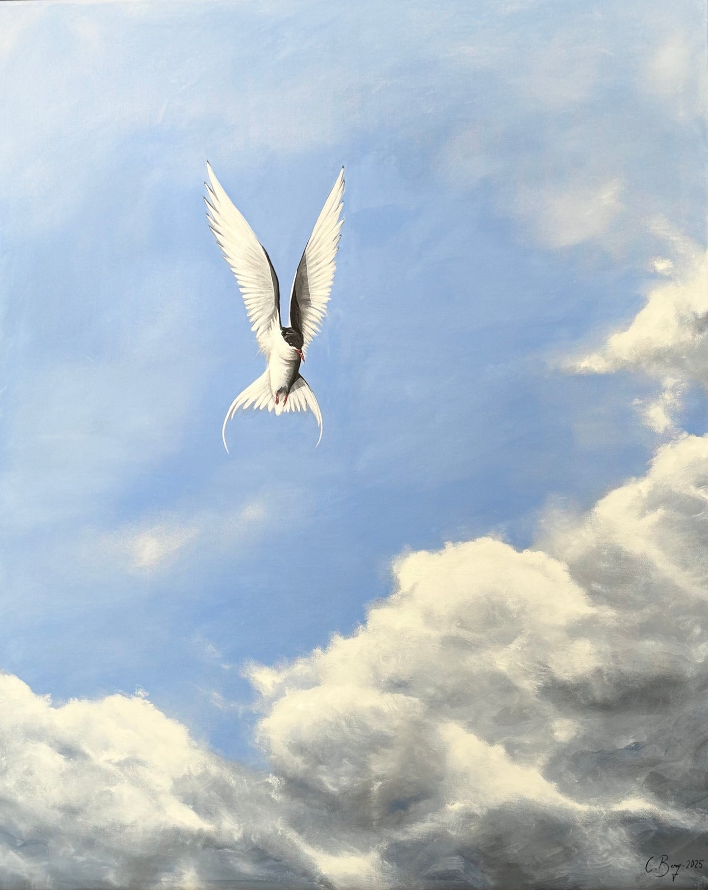 Caroline Berg - Ryttlande Silvertärna