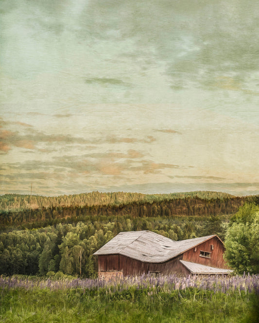 Nino Ramsby - Barn in Glava