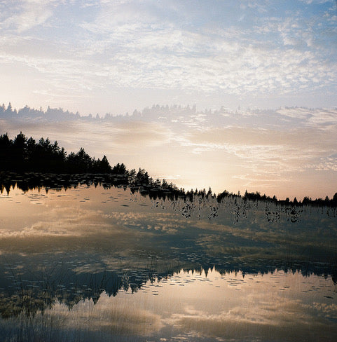 Anna Lilleengen - Metamorphosis Series 5 #2