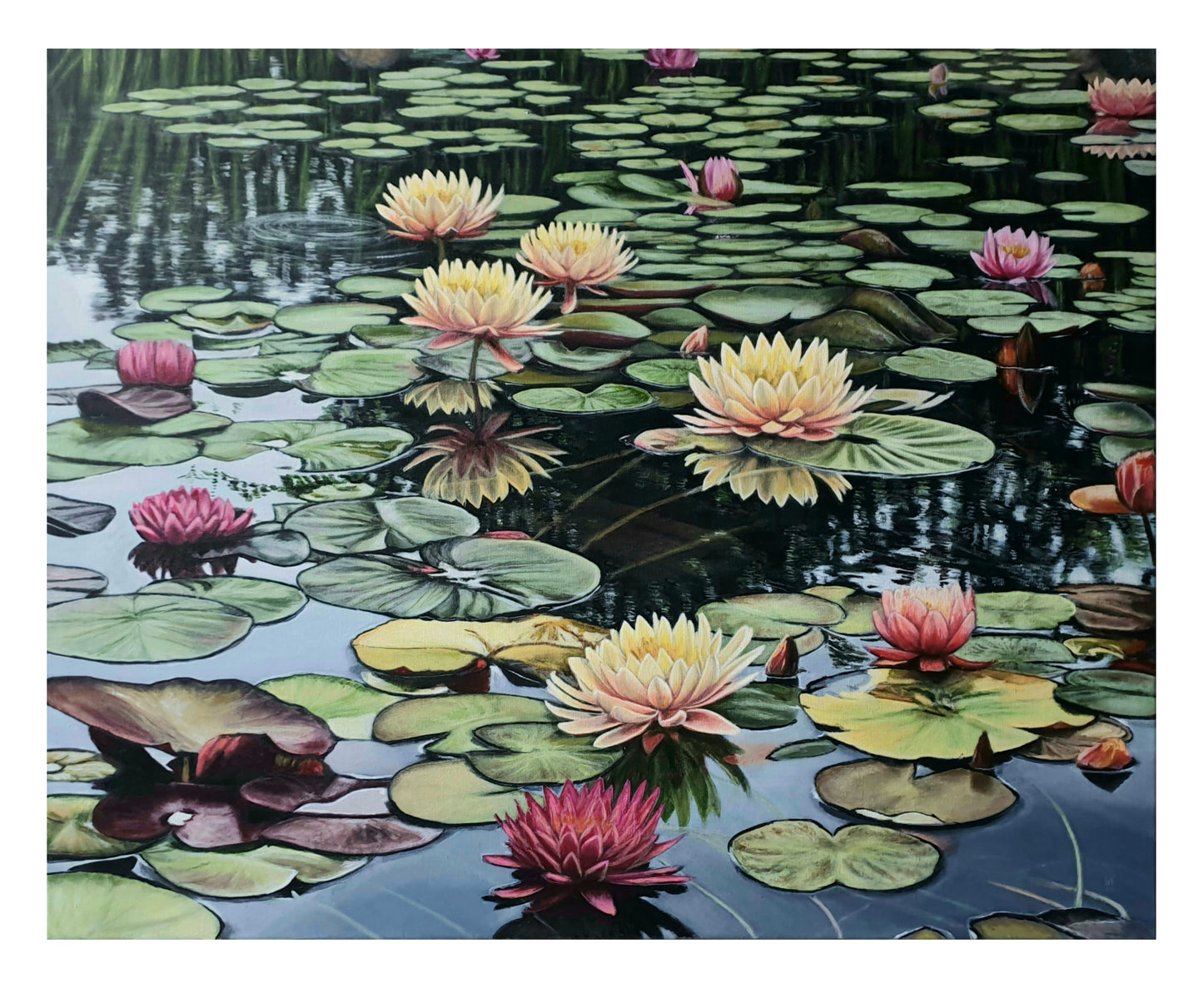 Gabriella Norum - Näckrosdamm