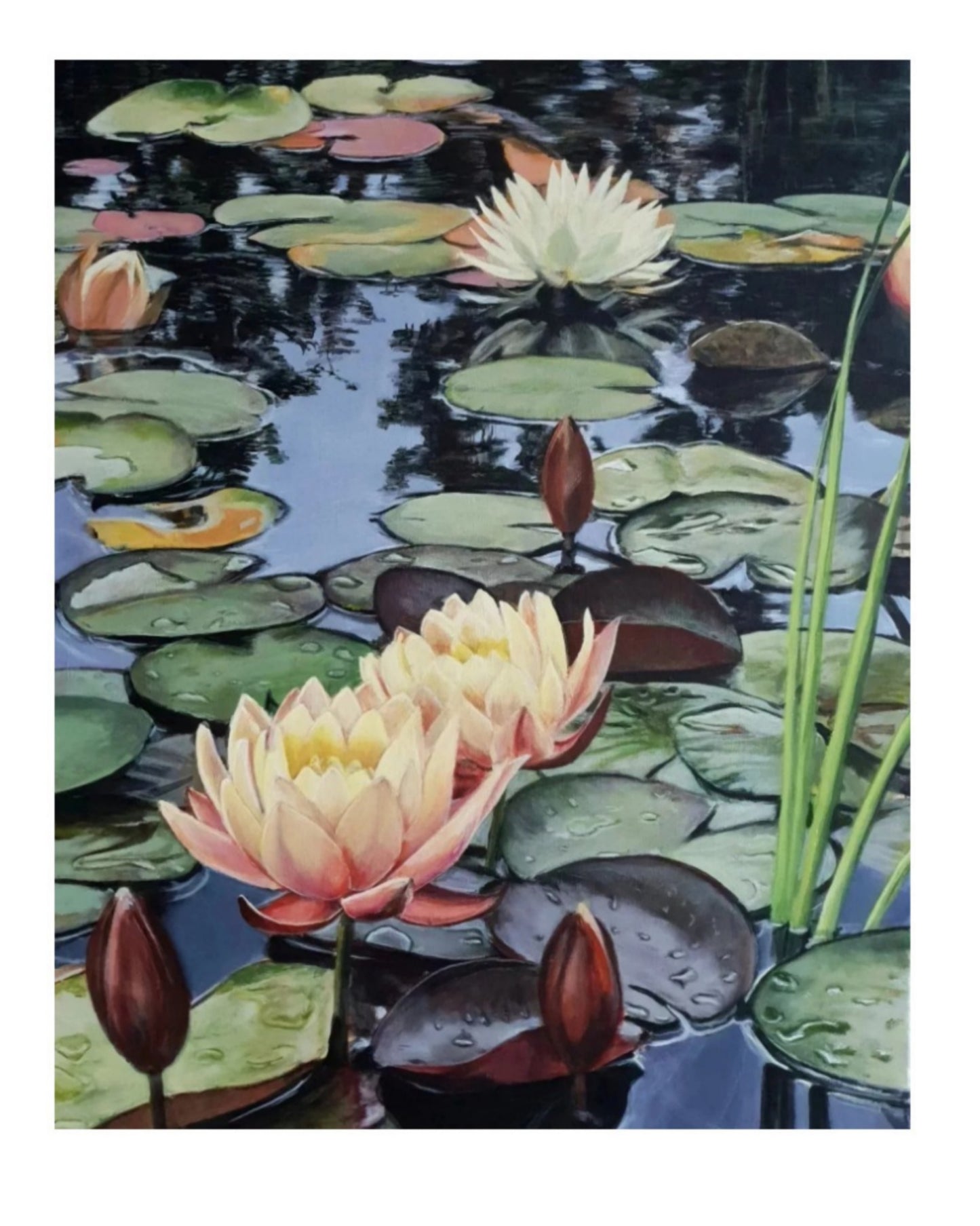 Gabriella Norum - Näckrosor I