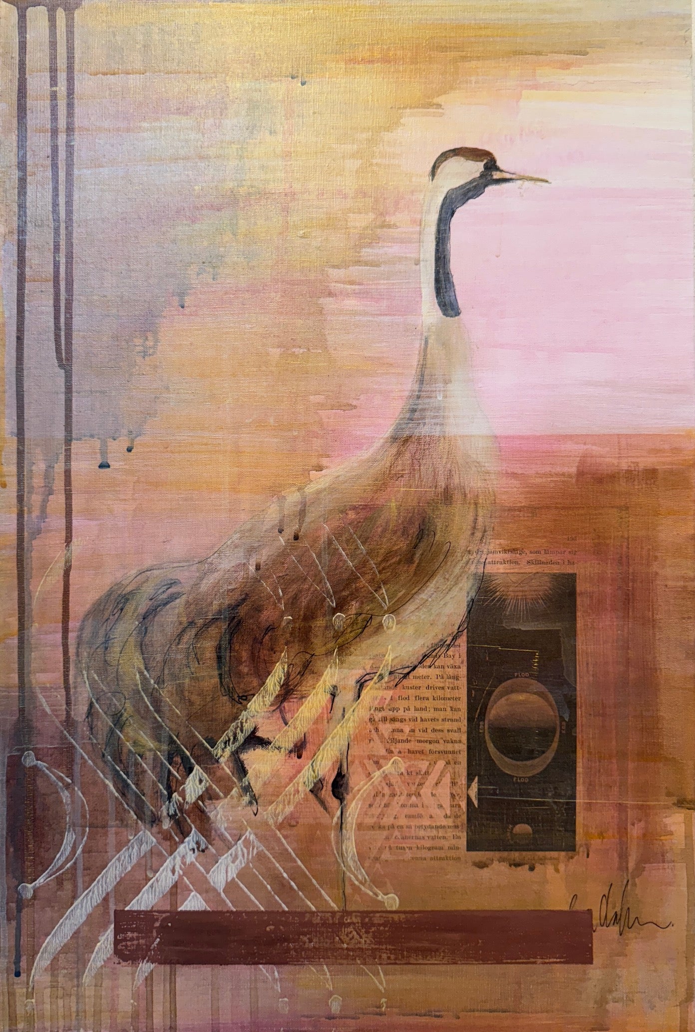 Eva Olofsson - På ett respektfullt avstånd