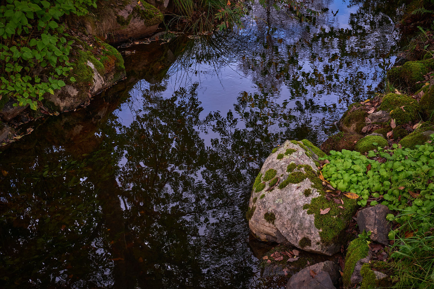 Anders Ludvigson - Peaceful thought I