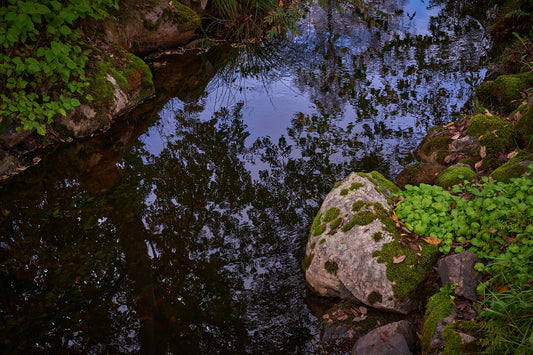 Anders Ludvigson - Peaceful thought I