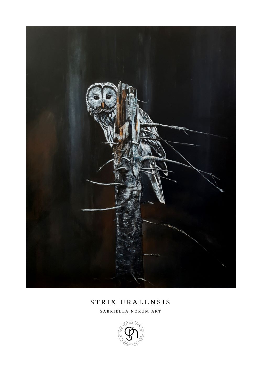 Gabriella Norum - Slagugglan - Strix Uralensis