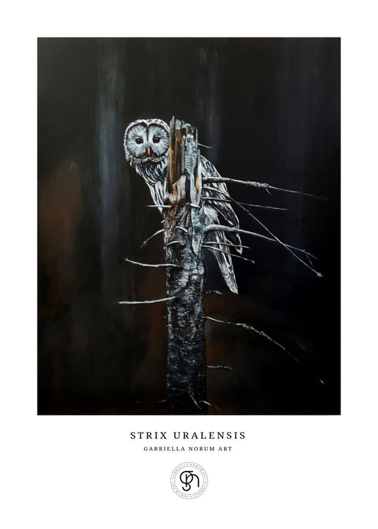 Gabriella Norum - Slagugglan - Strix Uralensis