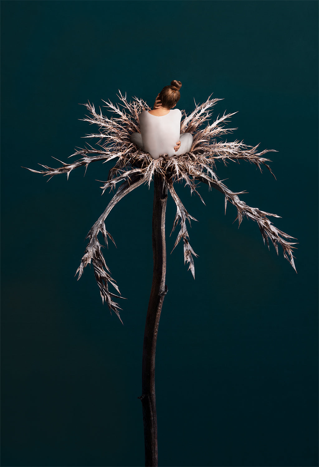 Sonja Hesslow - The quiet within