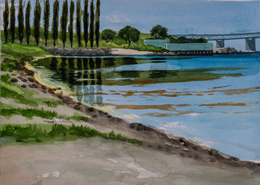 Peter Sternäng - Vid Sibbarp