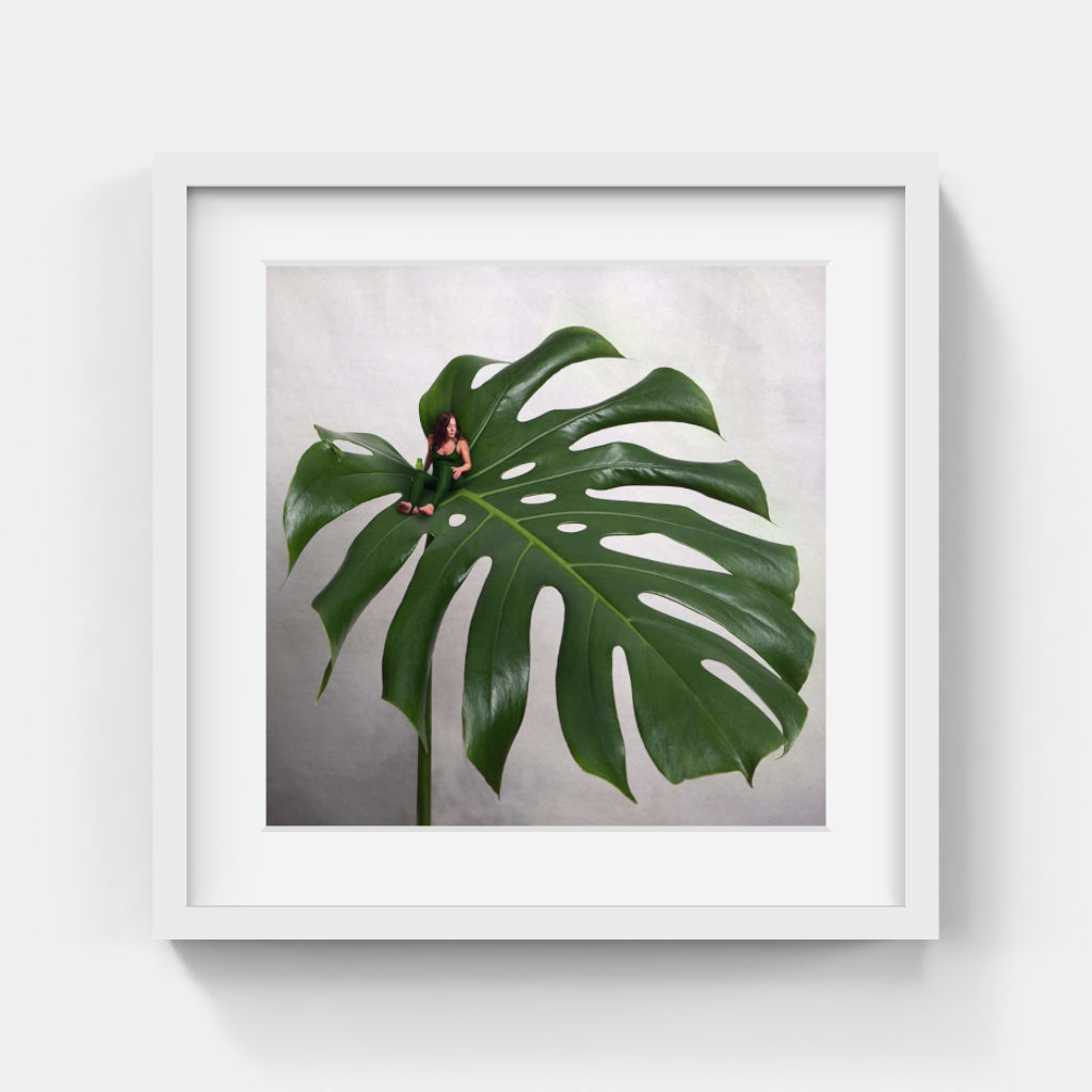 Sonja Hesslow - Monstera