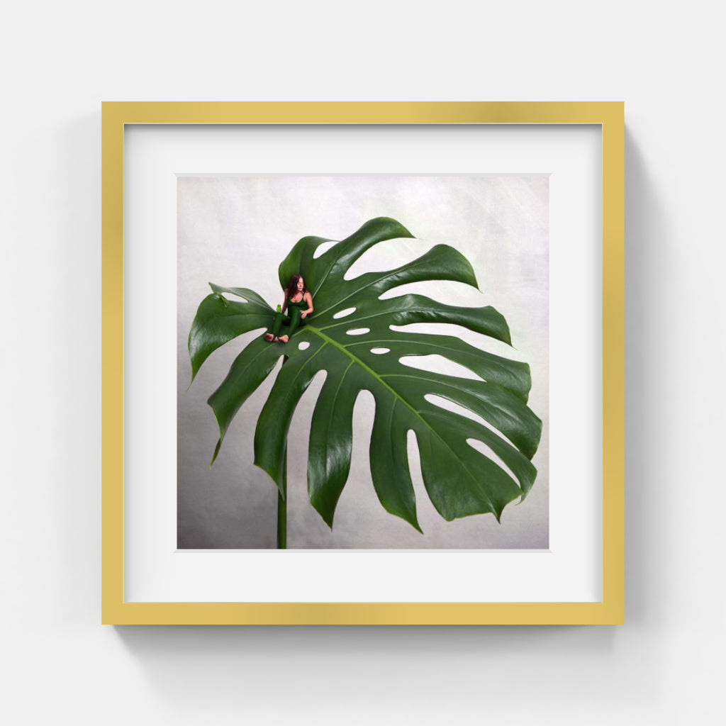 Sonja Hesslow - Monstera