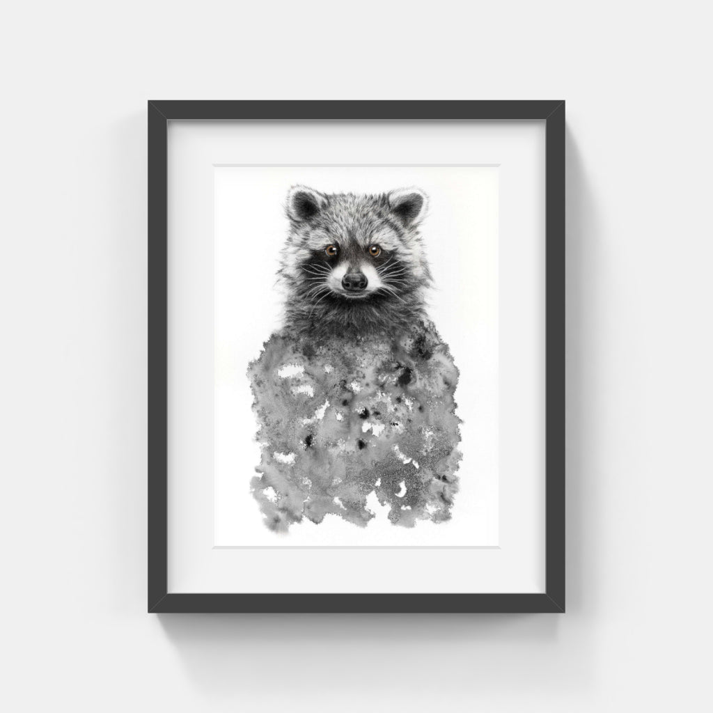 Annika Wessmark - Raccoon