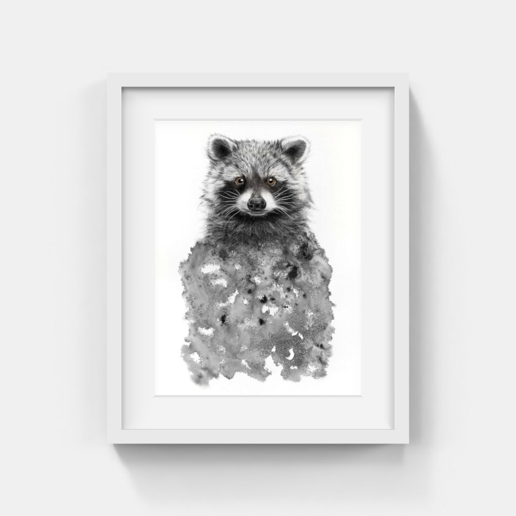 Annika Wessmark - Raccoon