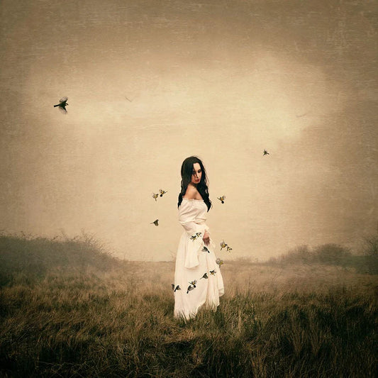 Michelle Mackie - Song Bird