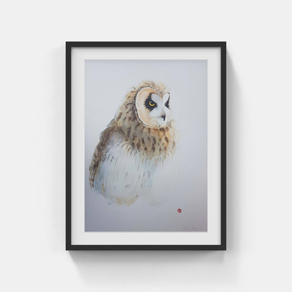 Karl Mårtens - Barn owl