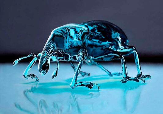 Galleri Mats Bergman Johannes Wessmark -  Glass Weevil