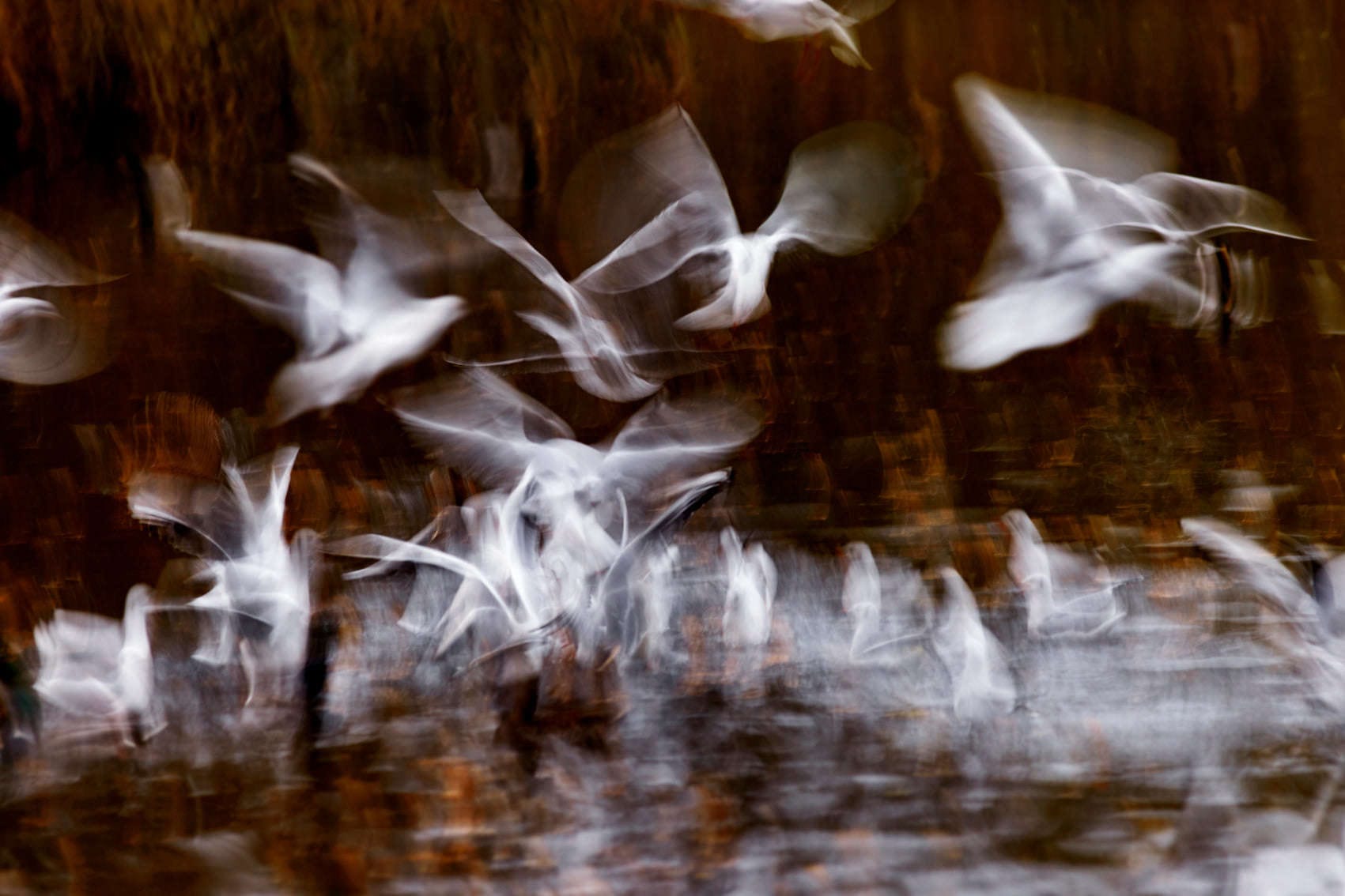 Galleri Mats Bergman Oramad Sandersson - Takeoff