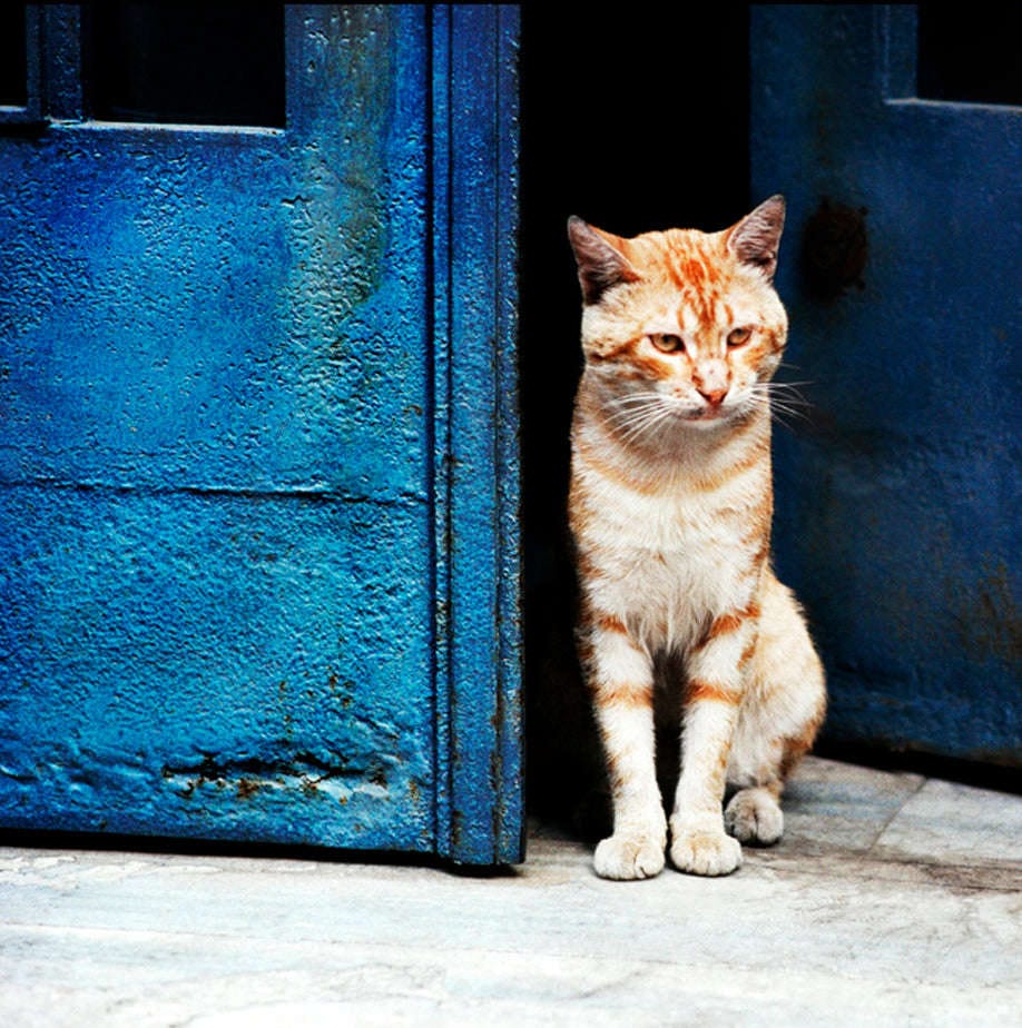 Galleri Mats Bergman Oramad Sandersson - The Doorman from Istanbul