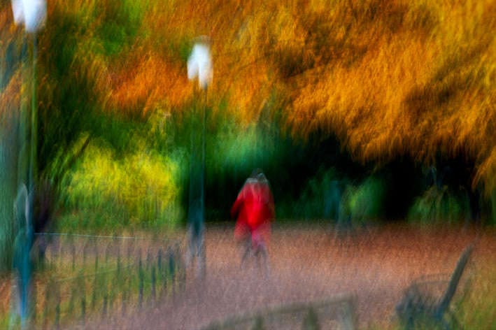 Galleri Mats Bergman Oramad Sandersson - Woman in red