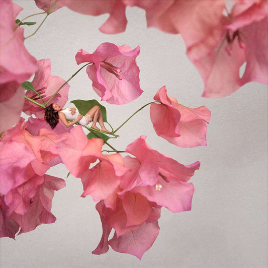 Galleri Mats Bergman Oramad Sonja Hesslow - Bougainvillea