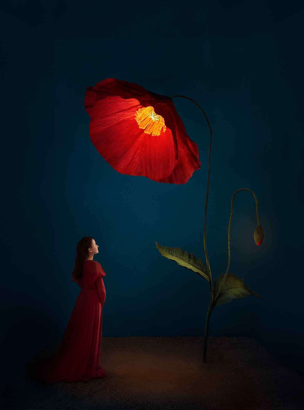 Fotokonst Page 6 — Galleri Mats Bergman