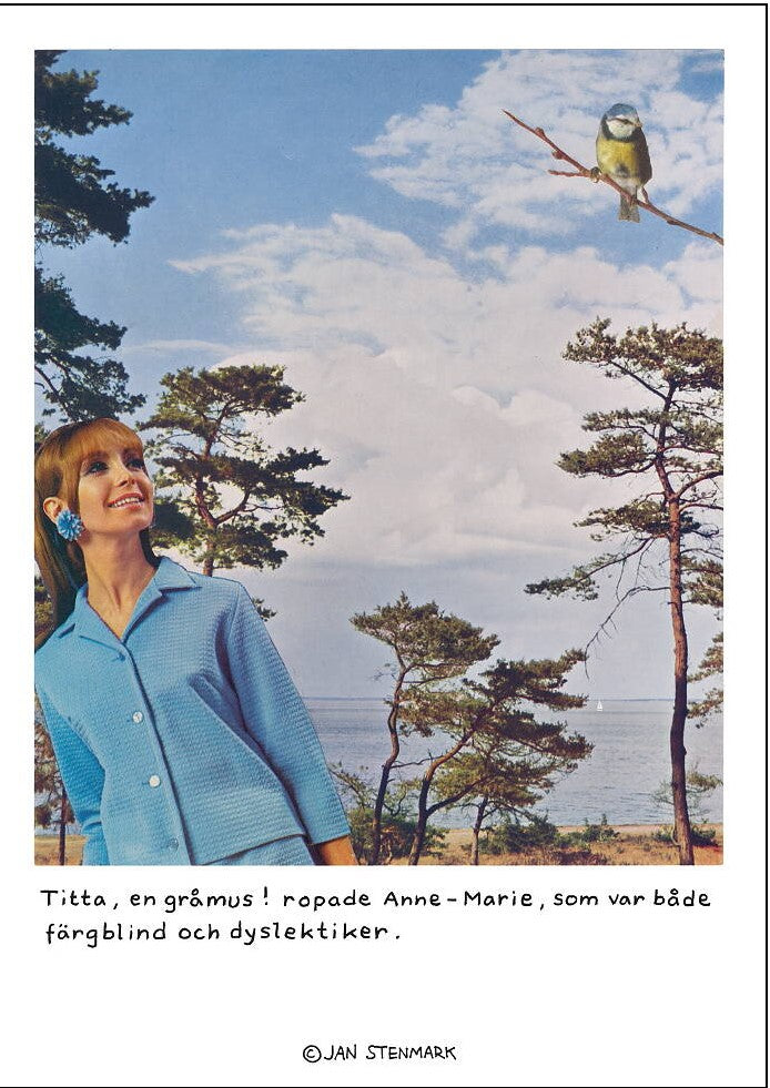 Jan Stenmark - Gråmus