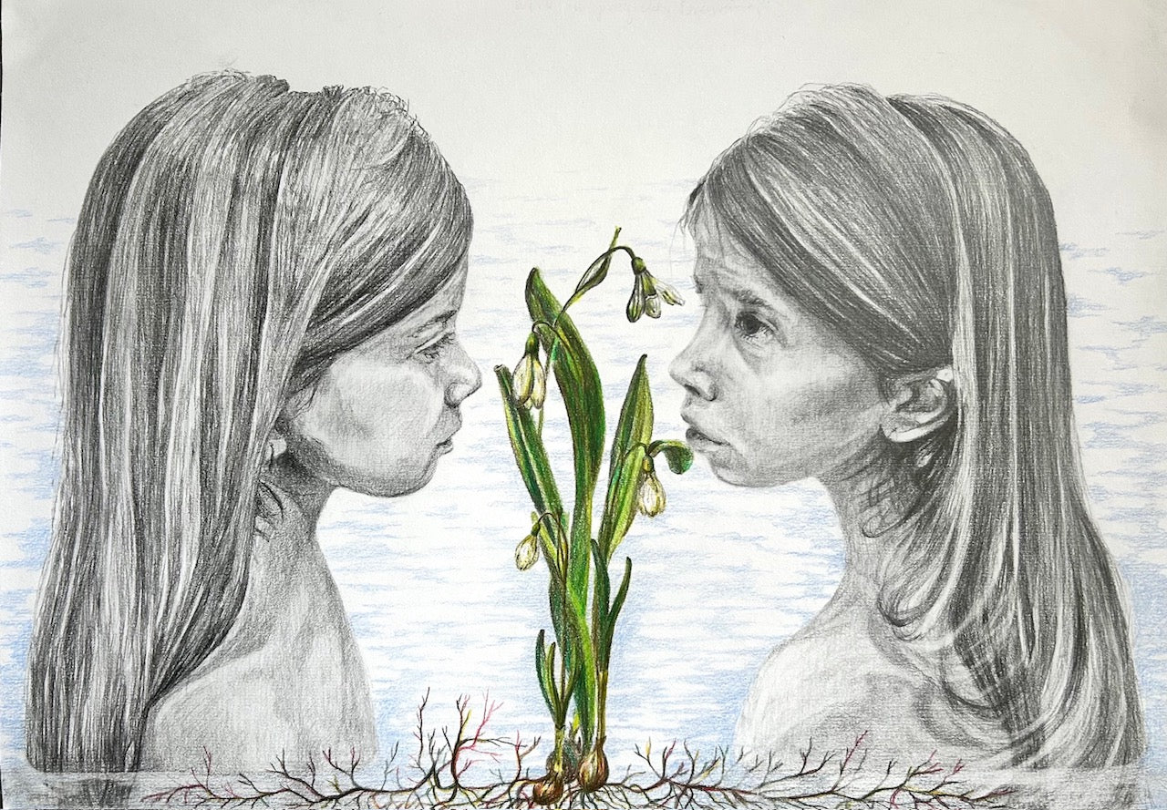 Maria Nassos - Galanthus Nivalis