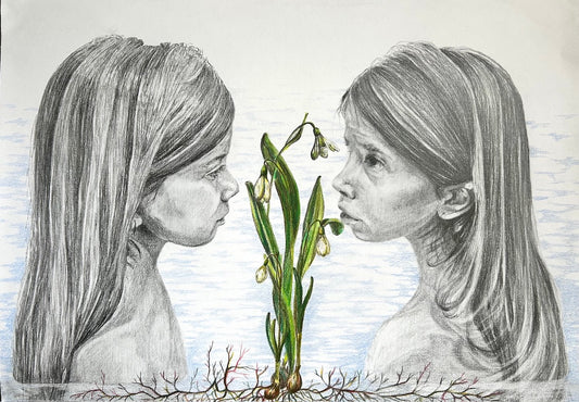 Maria Nassos - Galanthus Nivalis