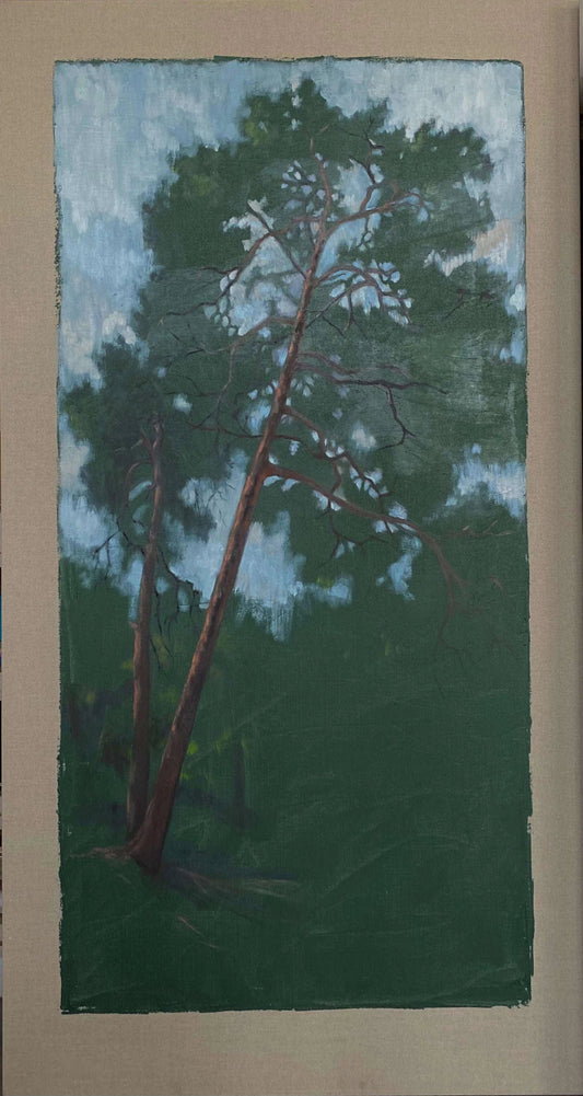 Maura Tavares - The pines behind the house