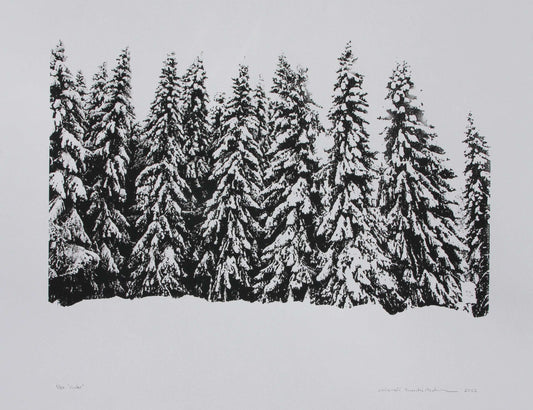 Anniki Andersson - Forest winter