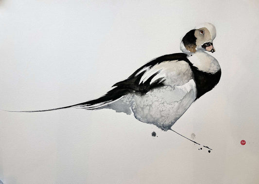 Karl Mårtens - Little eagle - Watercolor