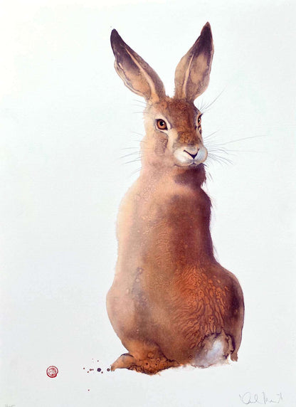 Karl Mårtens - Field Hare